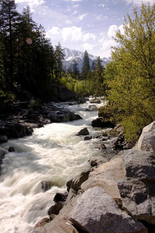 Pine River Ranch B&B Lake Wenatchee Εξωτερικό φωτογραφία