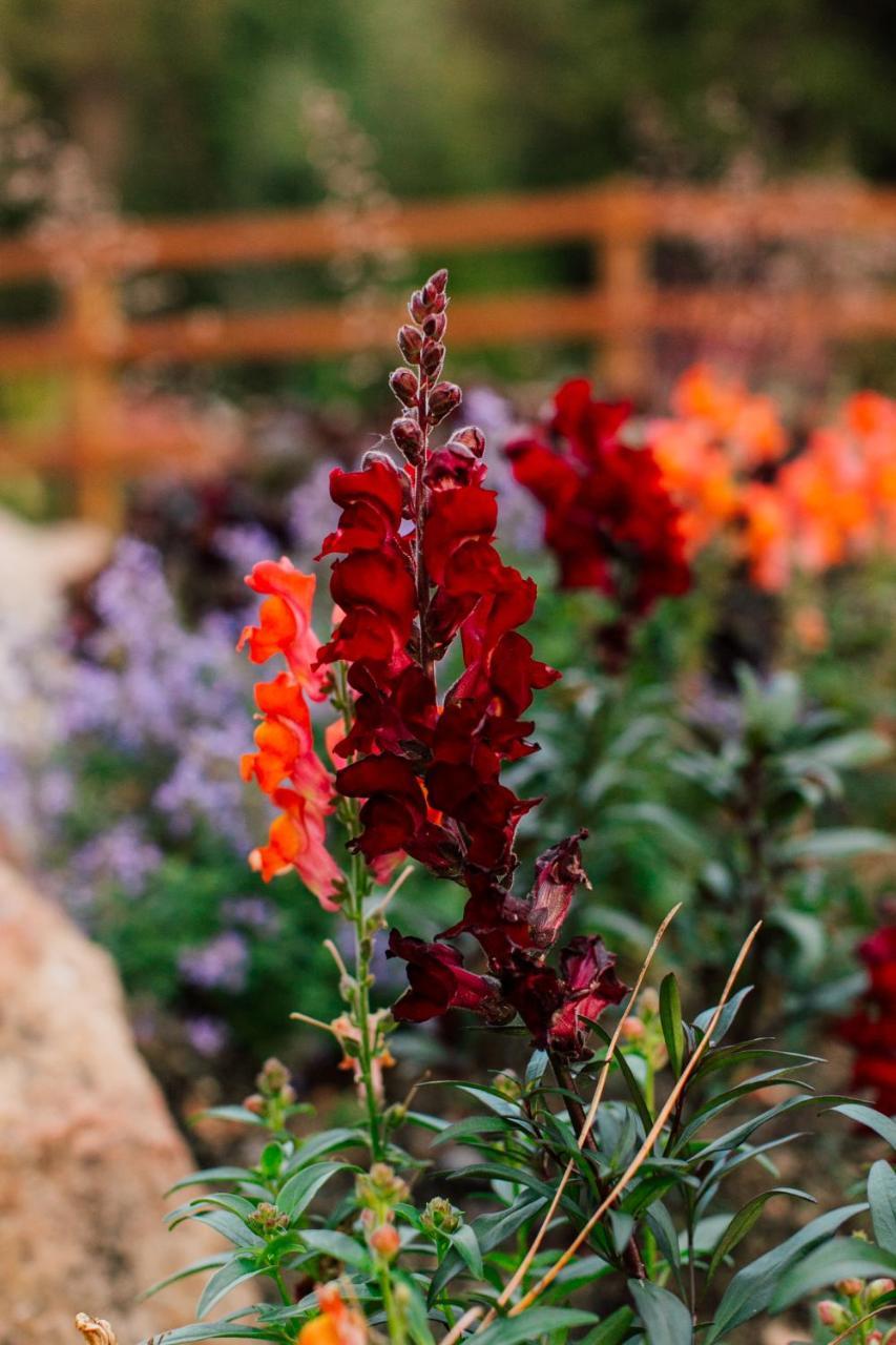 Pine River Ranch B&B Lake Wenatchee Εξωτερικό φωτογραφία